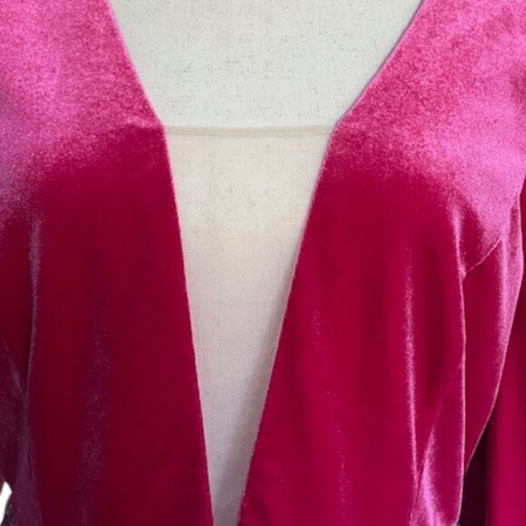 Double Crazy Dress Pink Magenta Puff Long Sleeve Sequin Fringe V Neck Large NWOT - Picture 2 of 14